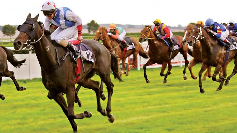 Horse Race Betting Online: The Pros and Cons